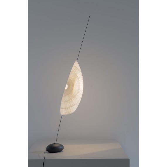 Coquillage lampe à poser