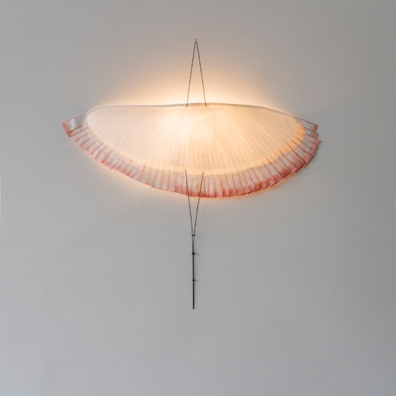 L’Oiseau à plumes colorées applique