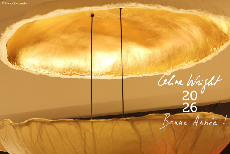 Meilleurs voeux 2026 !